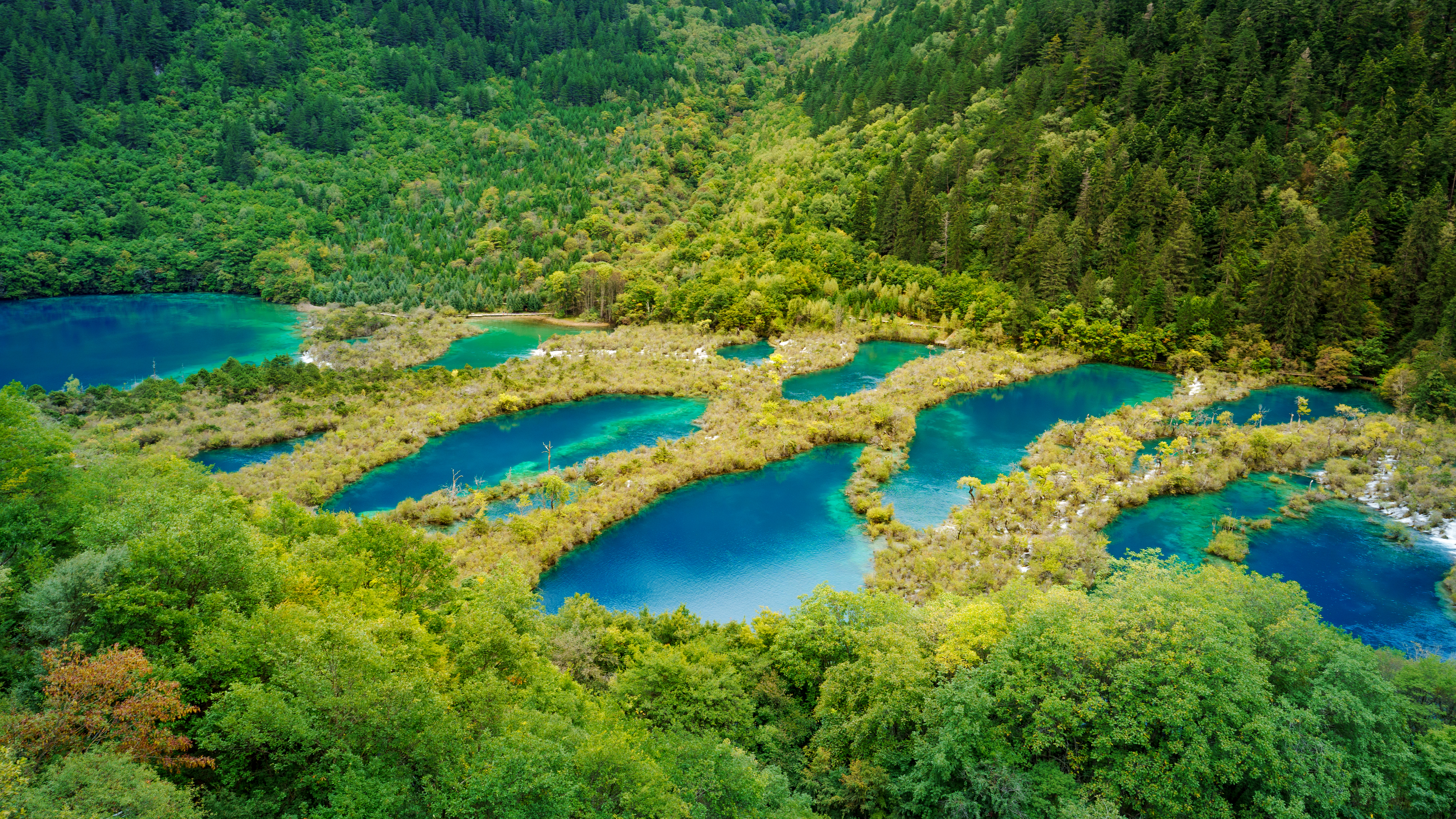 Scenery - WechatIMG11856.jpg