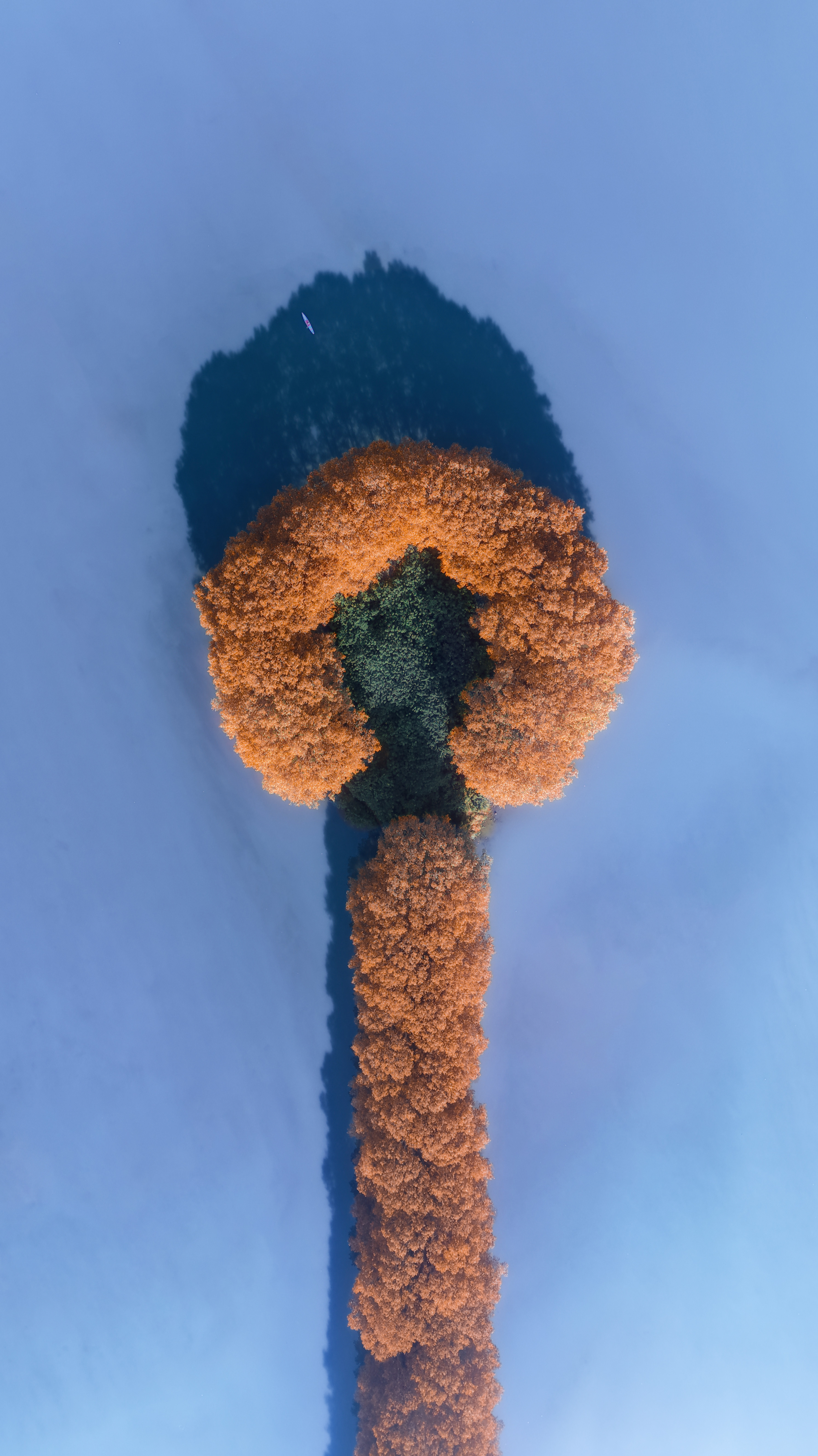 Scenery - WechatIMG792.jpg